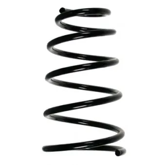 Ressort de suspension SPIDAN 49605