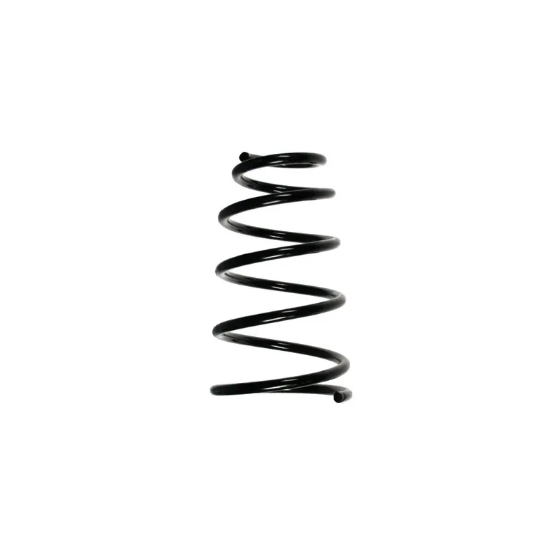 Ressort de suspension SPIDAN 49605