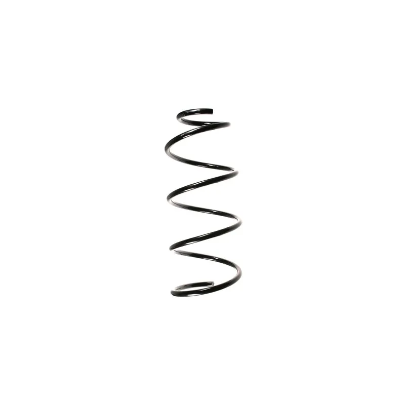 Ressort de suspension SPIDAN 49613