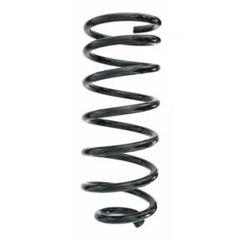 Ressort de suspension SPIDAN 49616