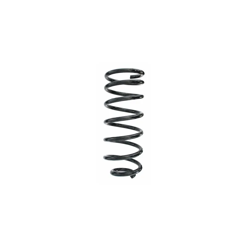 Ressort de suspension SPIDAN 49616