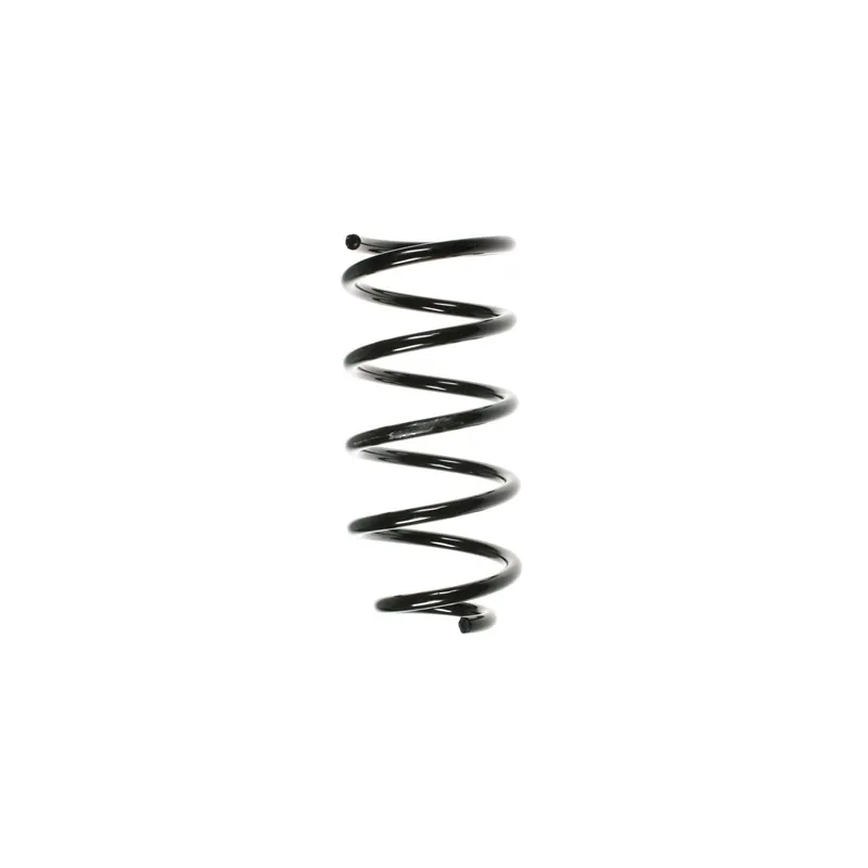 Ressort de suspension SPIDAN 49617