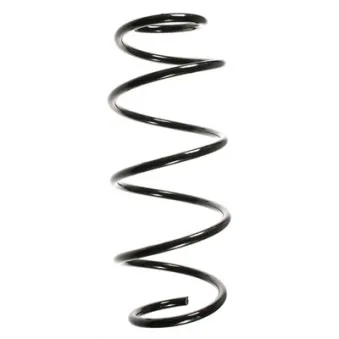 Ressort de suspension SPIDAN 49618