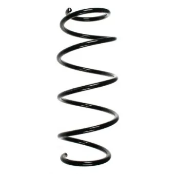 Ressort de suspension SPIDAN 49619