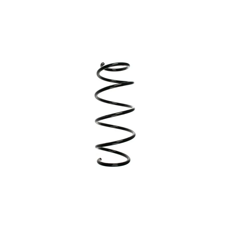 Ressort de suspension SPIDAN 49619