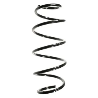 Ressort de suspension SPIDAN 49620