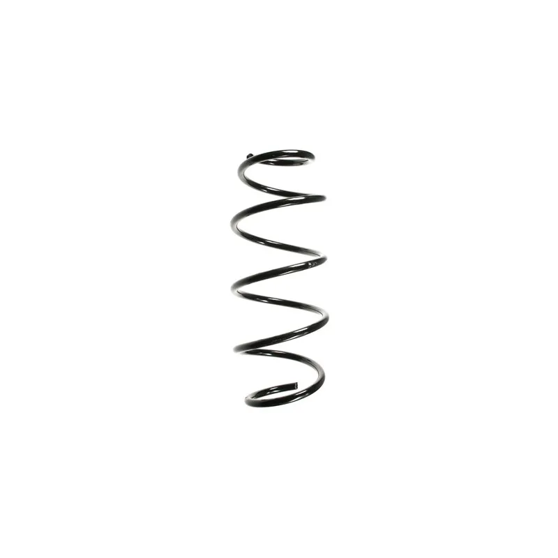 Ressort de suspension SPIDAN 49620