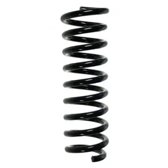 Ressort de suspension SPIDAN 49623