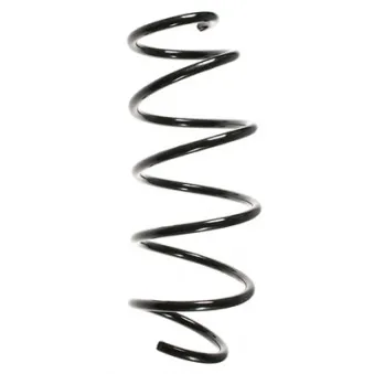 Ressort de suspension SPIDAN 49628
