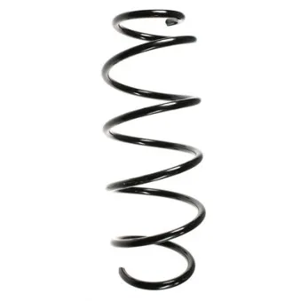 Ressort de suspension SPIDAN 49629