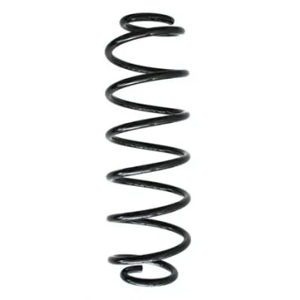 Ressort de suspension SPIDAN 49630
