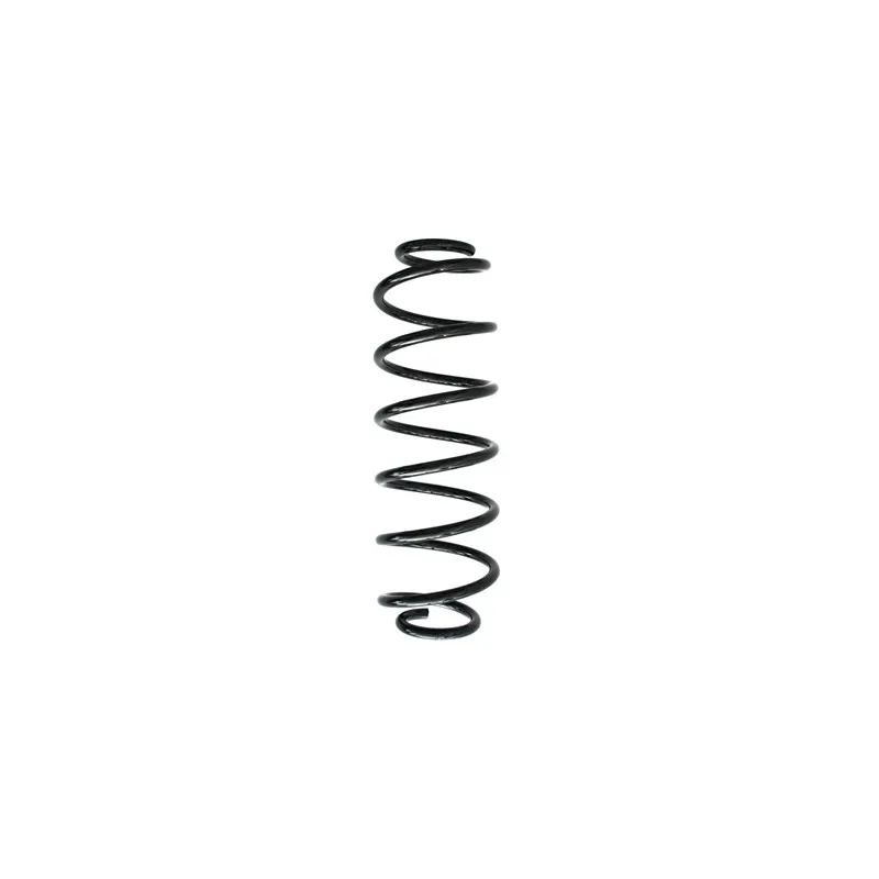 Ressort de suspension SPIDAN 49630