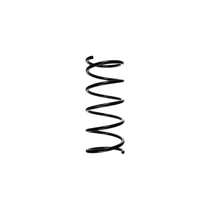 Ressort de suspension SPIDAN 49631