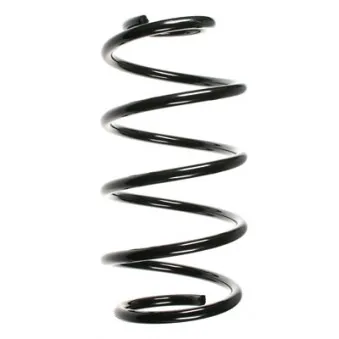 Ressort de suspension SPIDAN 49635