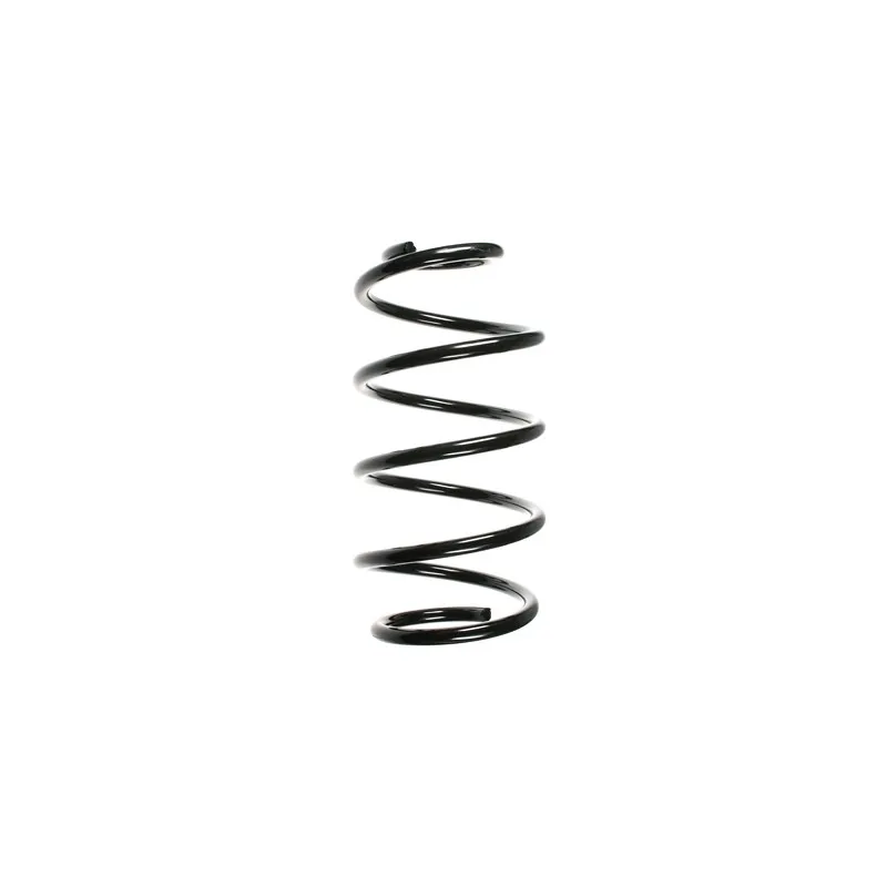 Ressort de suspension SPIDAN 49635