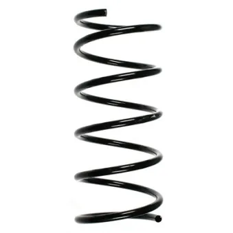 Ressort de suspension SPIDAN 49637