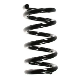 Ressort de suspension SPIDAN 49645