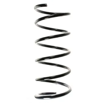 Ressort de suspension SPIDAN 49647