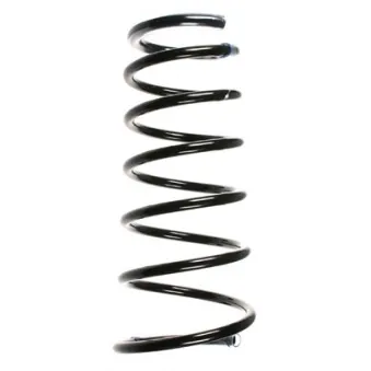 Ressort de suspension SPIDAN 49648