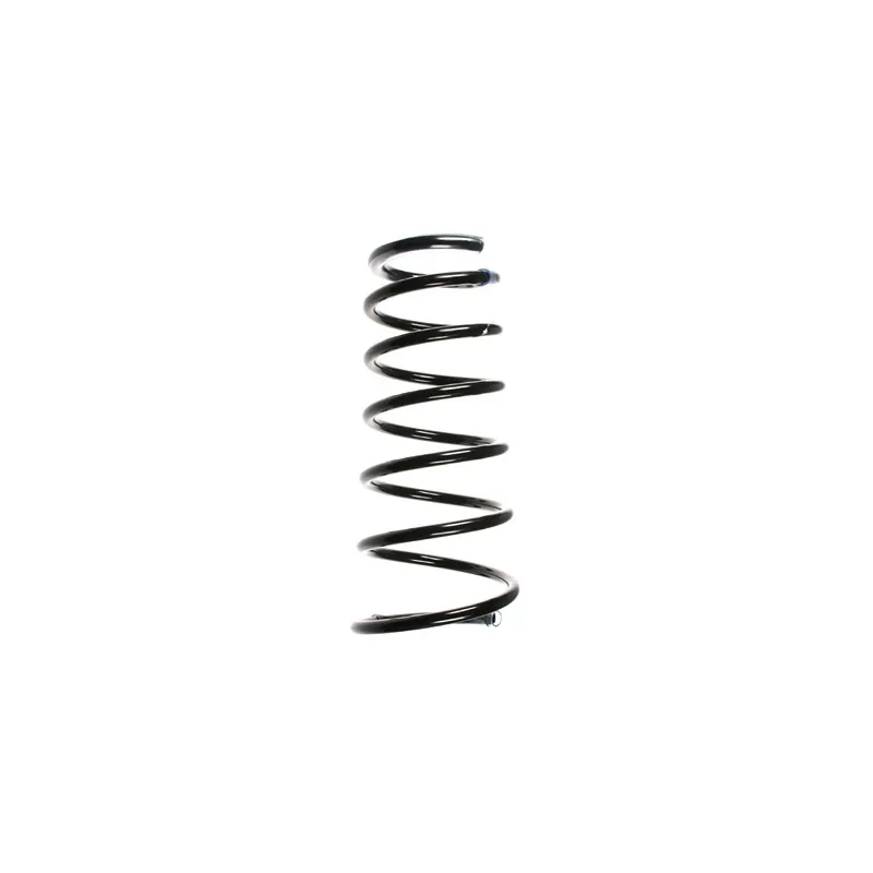 Ressort de suspension SPIDAN 49648