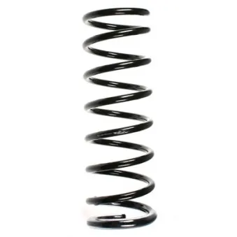 Ressort de suspension SPIDAN 49649