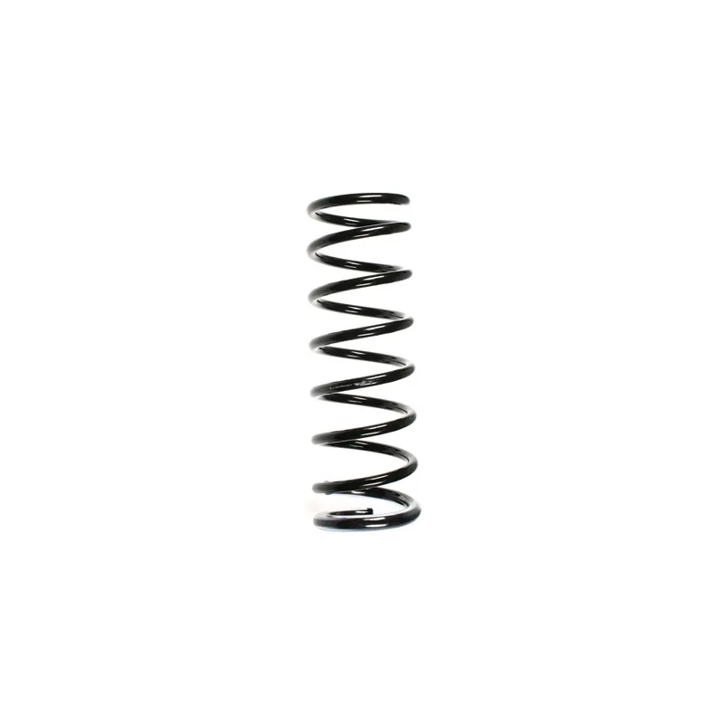 Ressort de suspension SPIDAN 49649