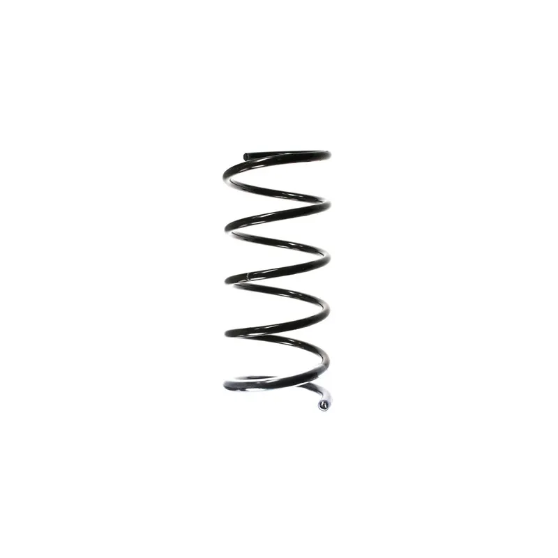 Ressort de suspension SPIDAN 49650