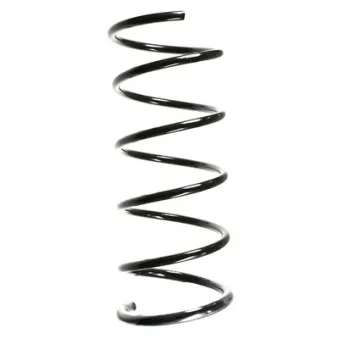 Ressort de suspension SPIDAN 49651