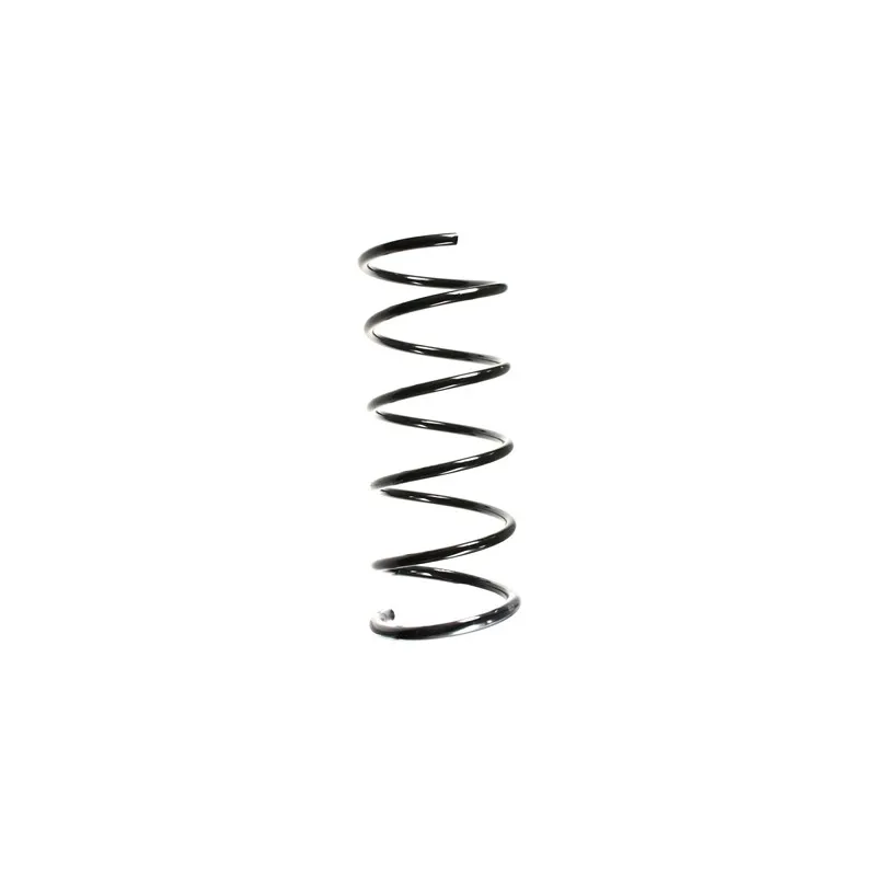Ressort de suspension SPIDAN 49651