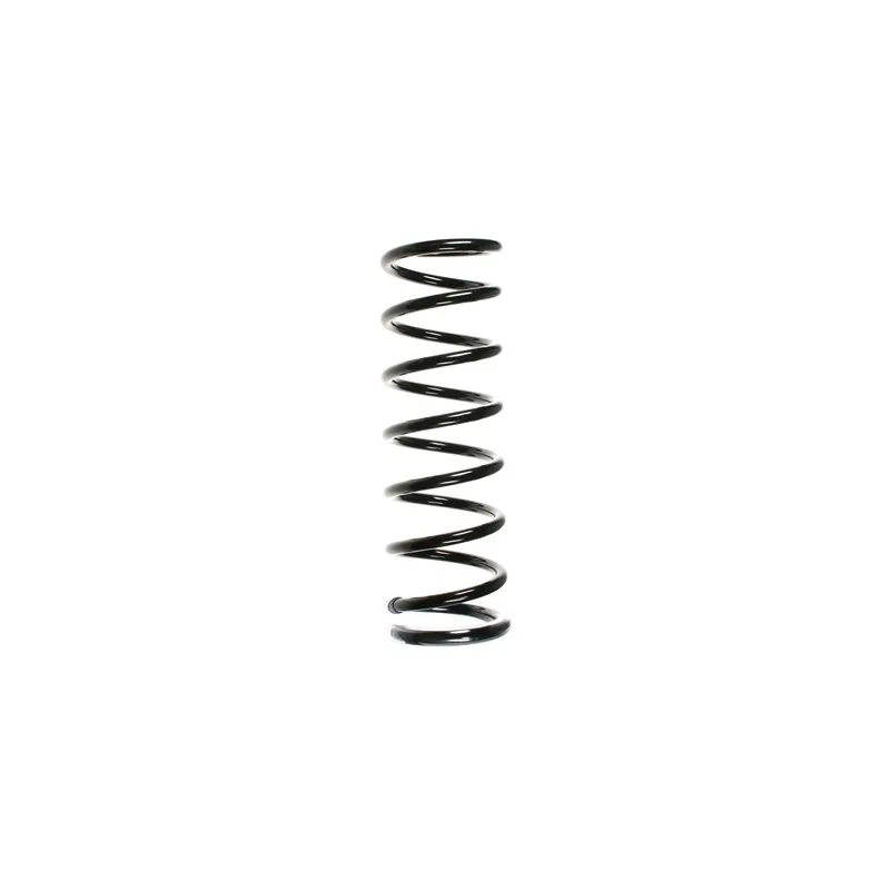 Ressort de suspension SPIDAN 49652