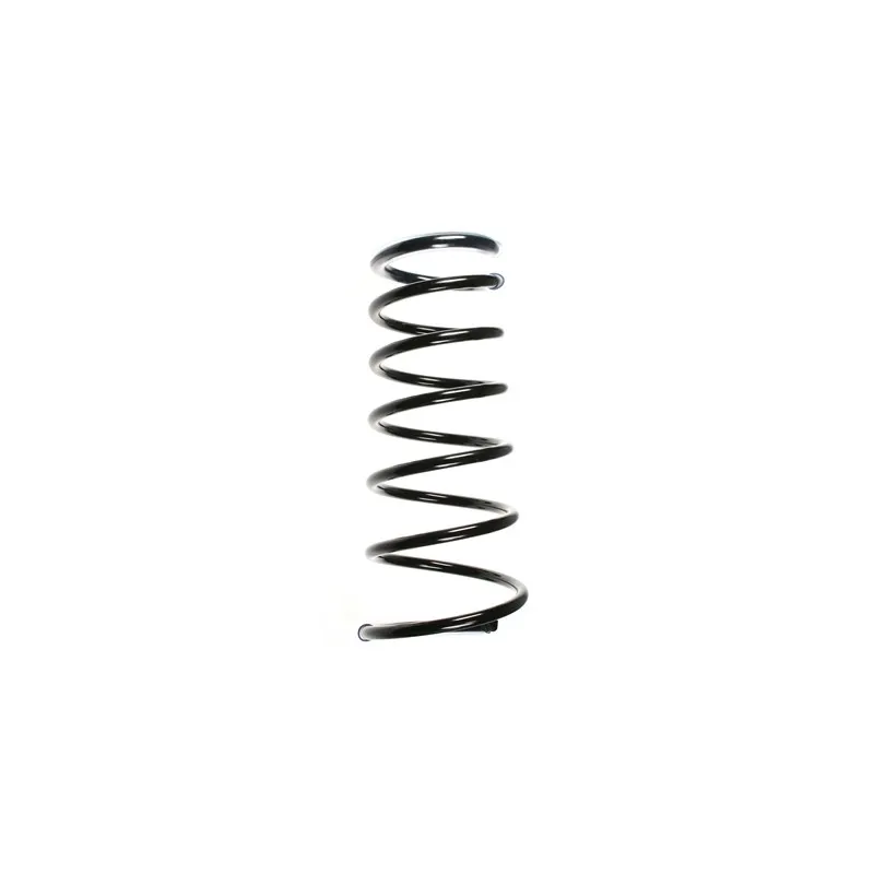 Ressort de suspension SPIDAN 49654