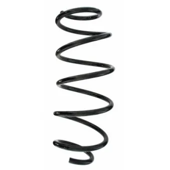 Ressort de suspension SPIDAN 49659