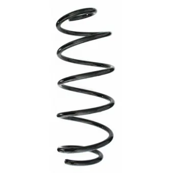 Ressort de suspension SPIDAN 49660