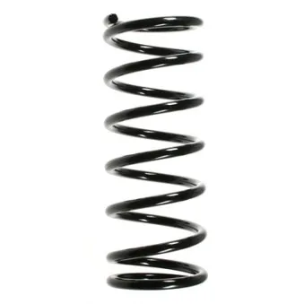 Ressort de suspension SPIDAN 49678