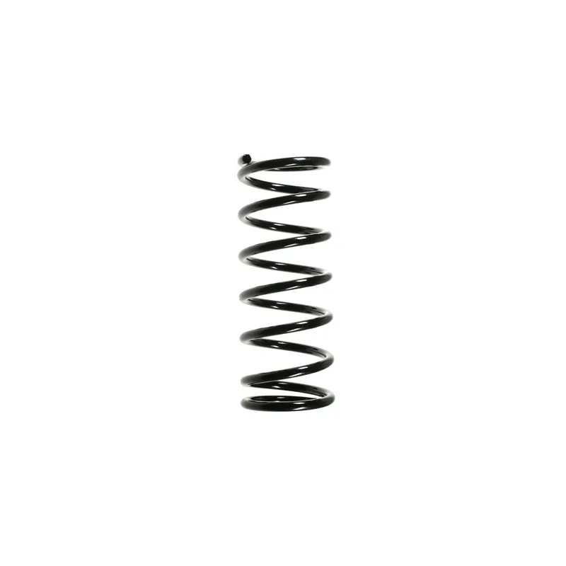 Ressort de suspension SPIDAN 49678