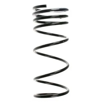 Ressort de suspension SPIDAN 49683
