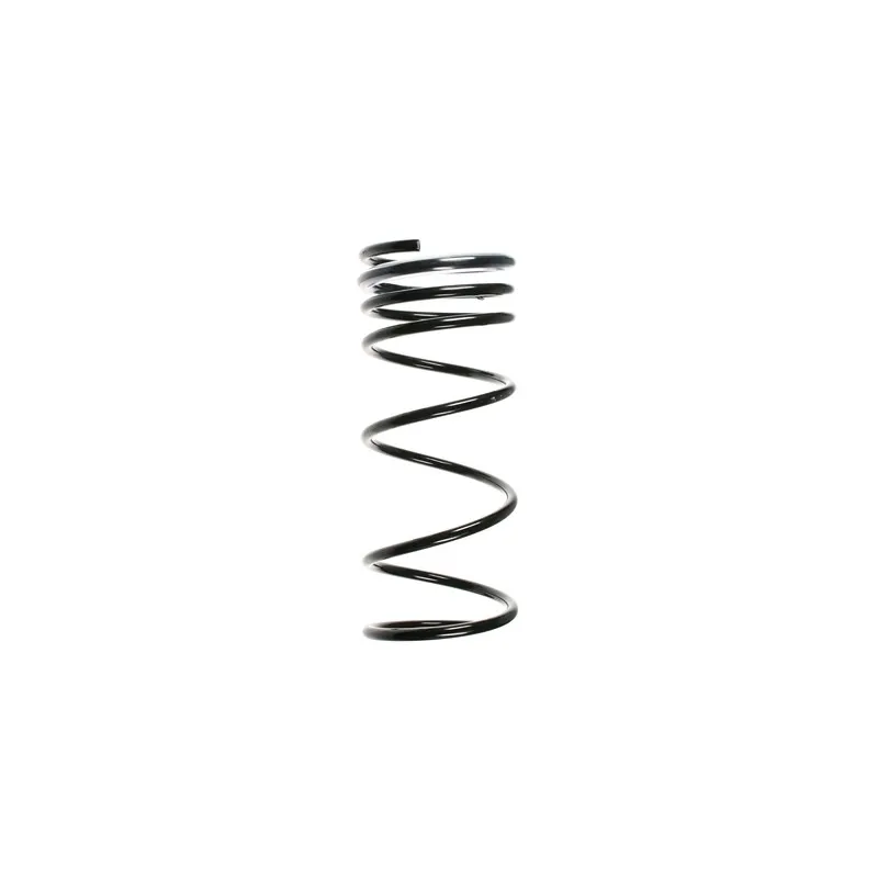 Ressort de suspension SPIDAN 49683