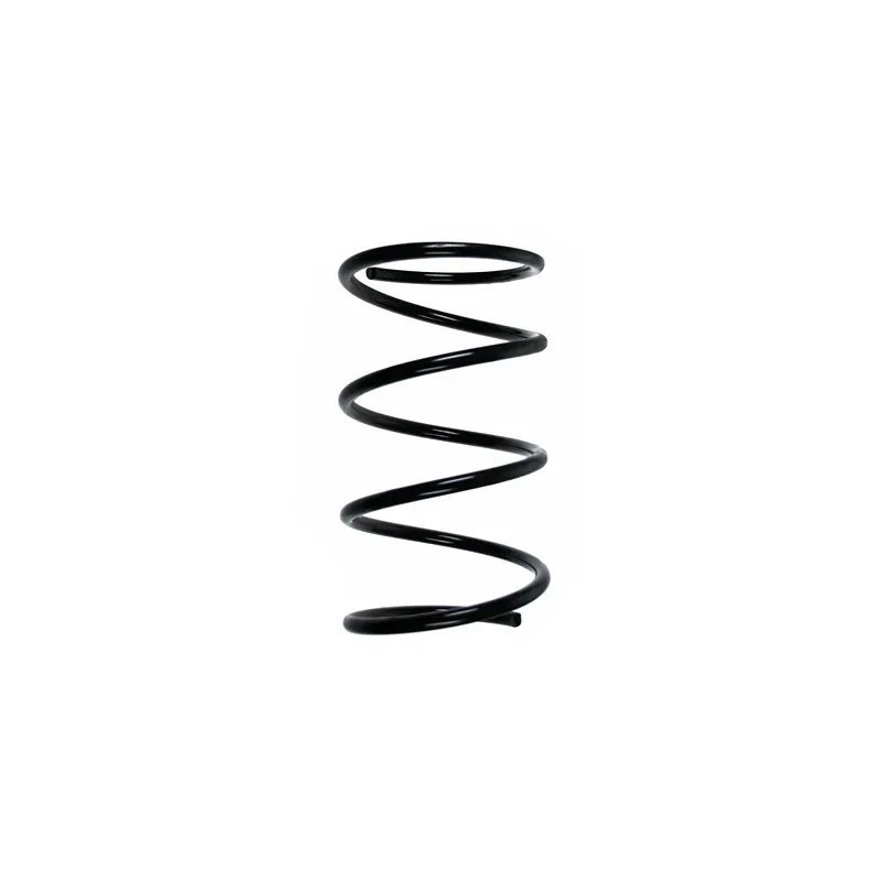 Ressort de suspension SPIDAN 49688