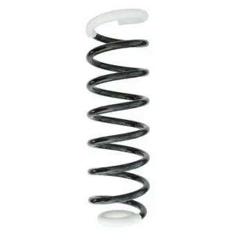 Ressort de suspension SPIDAN 49693