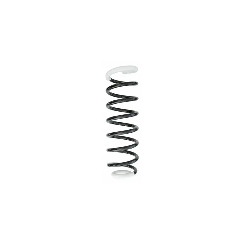 Ressort de suspension SPIDAN 49693
