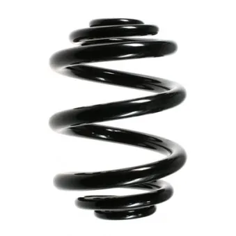 Ressort de suspension SPIDAN 49695