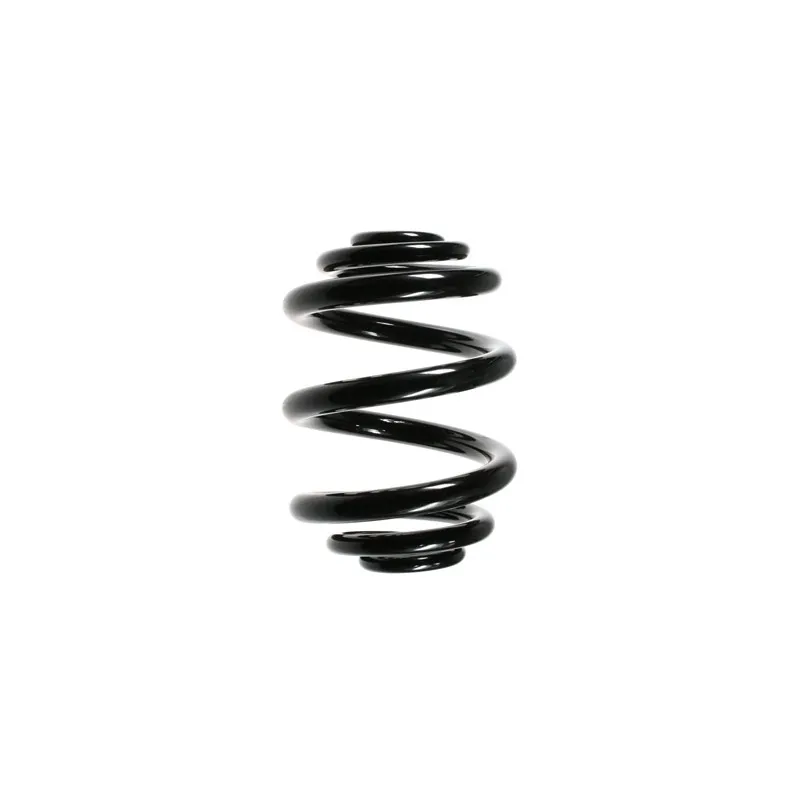 Ressort de suspension SPIDAN 49695