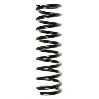 Ressort de suspension SPIDAN 49696