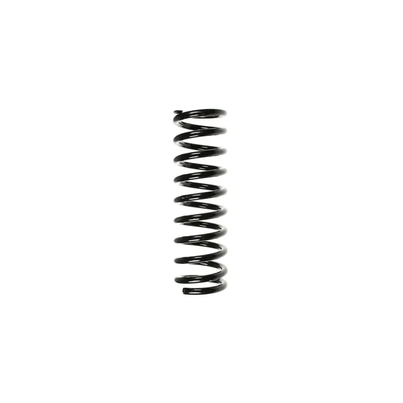 Ressort de suspension SPIDAN 49696