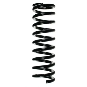 Ressort de suspension SPIDAN 49697