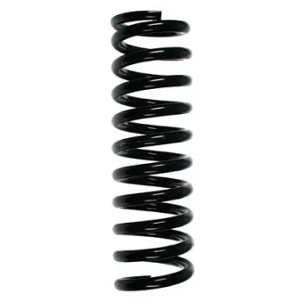 Ressort de suspension SPIDAN 49698