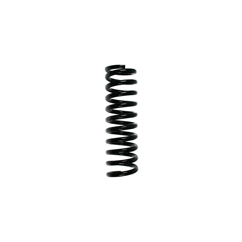 Ressort de suspension SPIDAN 49698