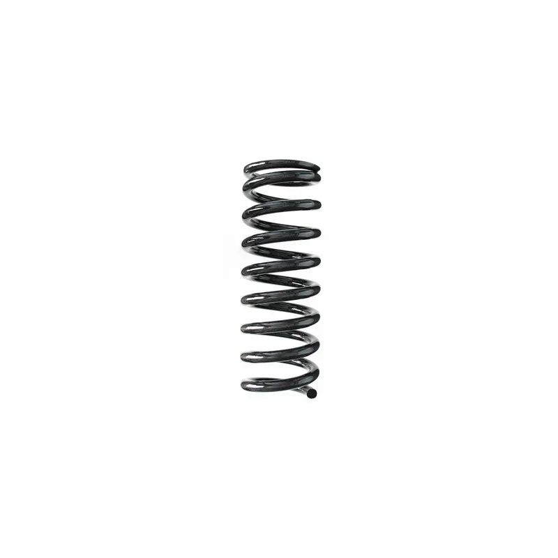 Ressort de suspension SPIDAN 49699