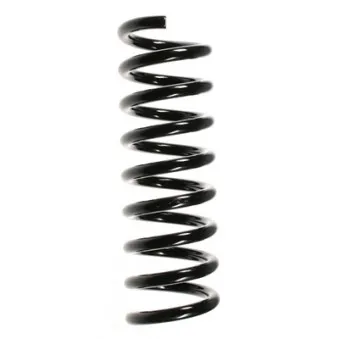 Ressort de suspension SPIDAN 49701