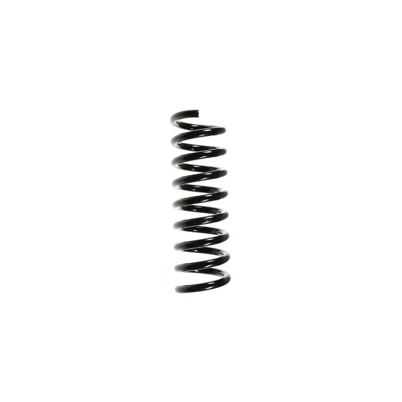 Ressort de suspension SPIDAN 49701